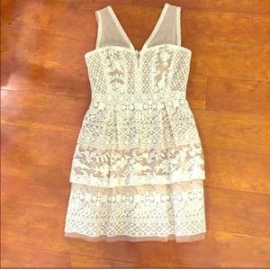 Excellent BCBG Dress